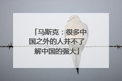 马斯克：很多中国之外的人并不了解中国的强大