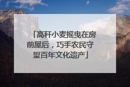高秆小麦摇曳在房前屋后，巧手农民守望百年文化遗产