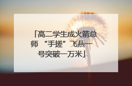 高二学生成火箭总师 “手搓”飞燕一号突破一万米