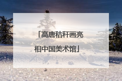 高唐秸秆画亮相中国美术馆