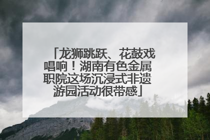 龙狮跳跃、花鼓戏唱响！湖南有色金属职院这场沉浸式非遗游园活动很带感