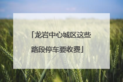龙岩中心城区这些路段停车要收费