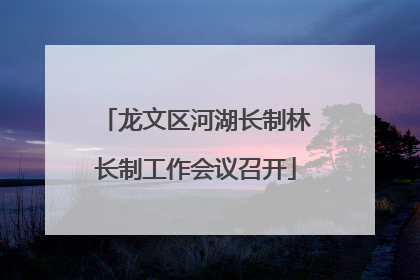 龙文区河湖长制林长制工作会议召开