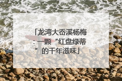 龙湾大岙溪杨梅：一颗“红盘绿蒂”的千年滋味