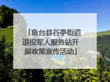 鱼台县谷亭街道退役军人服务站开展政策宣传活动