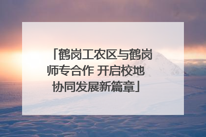 鹤岗工农区与鹤岗师专合作 开启校地协同发展新篇章