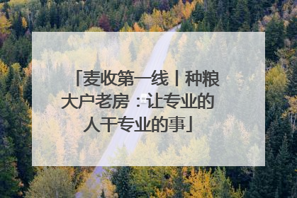 麦收第一线丨种粮大户老房：让专业的人干专业的事