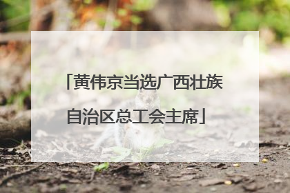 黄伟京当选广西壮族自治区总工会主席