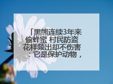 黑熊连续3年来偷蜂蜜 村民防盗花样频出却不伤害：它是保护动物，我有保险兜底