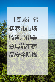 黑龙江省伊春市市场监管局伊美分局筑牢药品安全防线