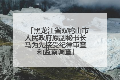 黑龙江省双鸭山市人民政府原副秘书长马为先接受纪律审查和监察调查