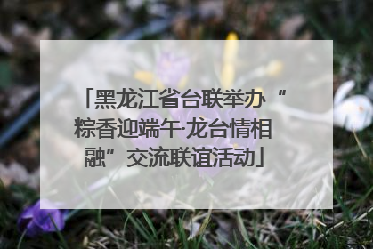 黑龙江省台联举办“粽香迎端午·龙台情相融”交流联谊活动