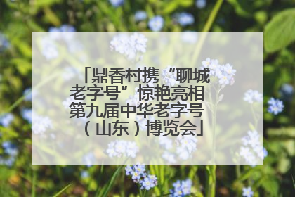 鼎香村携“聊城老字号”惊艳亮相第九届中华老字号（山东）博览会