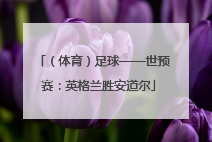 （体育）足球——世预赛：英格兰胜安道尔