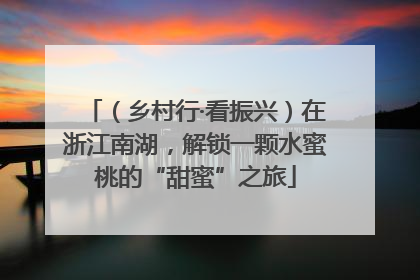 （乡村行·看振兴）在浙江南湖，解锁一颗水蜜桃的“甜蜜”之旅