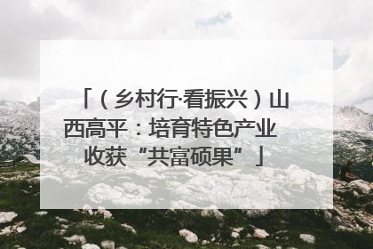 （乡村行·看振兴）山西高平：培育特色产业 收获“共富硕果”