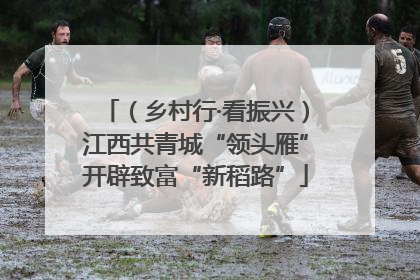 （乡村行·看振兴）江西共青城“领头雁”开辟致富“新稻路”