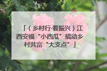 （乡村行·看振兴）江西安福“小西瓜”撬动乡村共富“大支点”