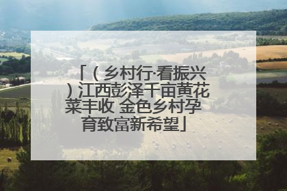 （乡村行·看振兴）江西彭泽千亩黄花菜丰收 金色乡村孕育致富新希望