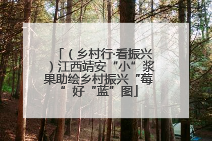 （乡村行·看振兴）江西靖安“小”浆果助绘乡村振兴“莓”好“蓝”图