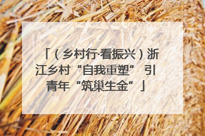 （乡村行·看振兴）浙江乡村“自我重塑” 引青年“筑巢生金”
