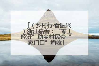 （乡村行·看振兴）浙江嘉善：“零工经济”助乡村民众“家门口”增收