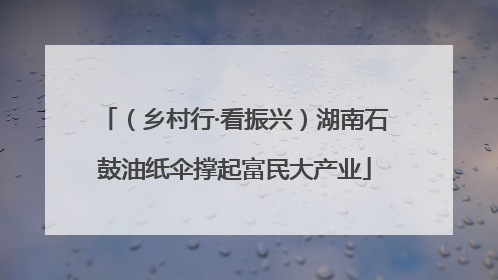 （乡村行·看振兴）湖南石鼓油纸伞撑起富民大产业
