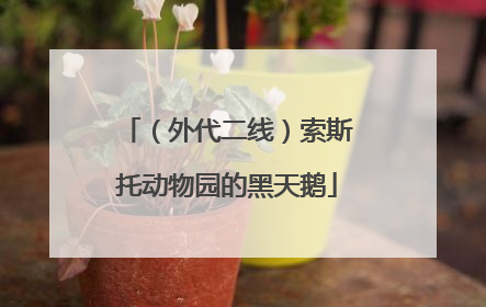 （外代二线）索斯托动物园的黑天鹅
