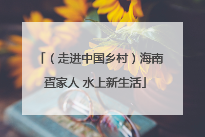 （走进中国乡村）海南疍家人 水上新生活