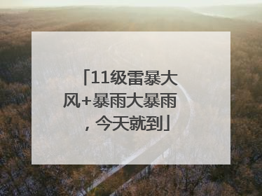 11级雷暴大风+暴雨大暴雨，今天就到
