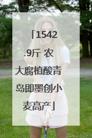 1542.9斤 农大腐植酸青岛即墨创小麦高产