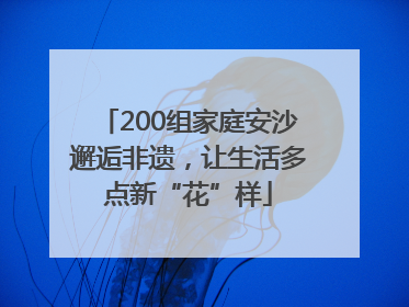 200组家庭安沙邂逅非遗，让生活多点新“花”样