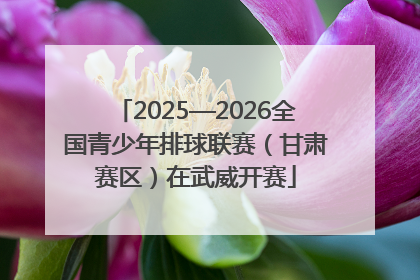 2025—2026全国青少年排球联赛（甘肃赛区）在武威开赛