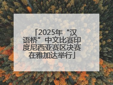 2025年“汉语桥”中文比赛印度尼西亚赛区决赛在雅加达举行