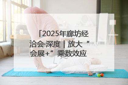 2025年廊坊经洽会·深度｜放大“会展+”乘数效应 打造消费新场景