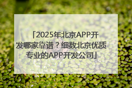 2025年北京APP开发哪家靠谱？细数北京优质专业的APP开发公司