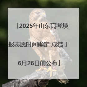 2025年山东高考填报志愿时间确定 成绩于6月26日前公布