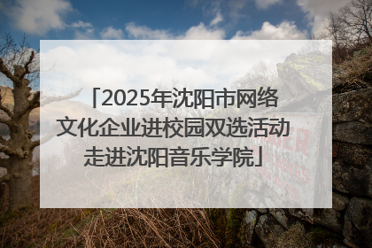 2025年沈阳市网络文化企业进校园双选活动走进沈阳音乐学院