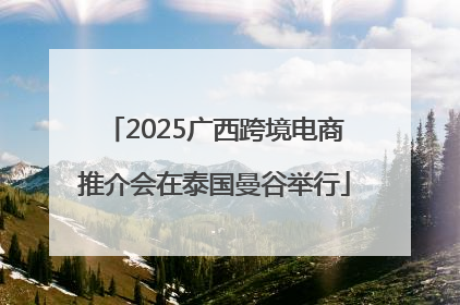 2025广西跨境电商推介会在泰国曼谷举行