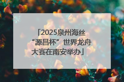 2025泉州海丝“源昌杯”世界龙舟大赛在南安举办