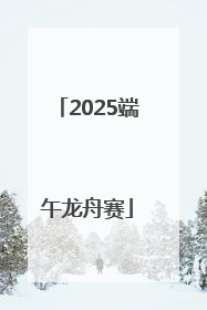 2025端午龙舟赛