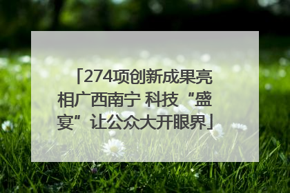 274项创新成果亮相广西南宁 科技“盛宴”让公众大开眼界