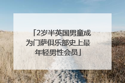 2岁半英国男童成为门萨俱乐部史上最年轻男性会员