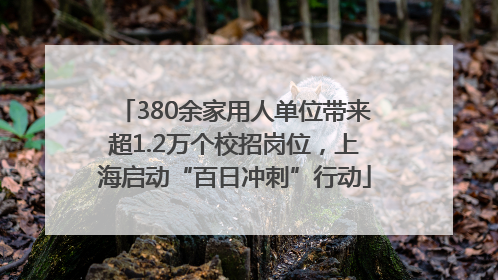 380余家用人单位带来超1.2万个校招岗位，上海启动“百日冲刺”行动