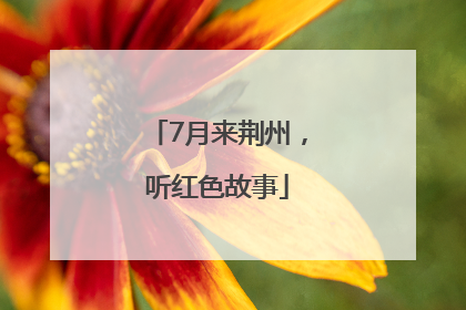 7月来荆州，听红色故事