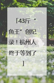 43斤“鱼王”创纪录！杭州人终于等到了