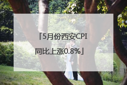 5月份西安CPI同比上涨0.8%