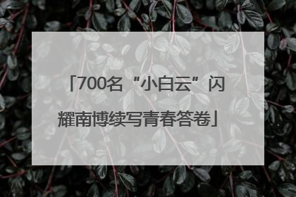 700名“小白云”闪耀南博续写青春答卷