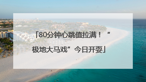80分钟心跳值拉满！“极地大马戏”今日开耍