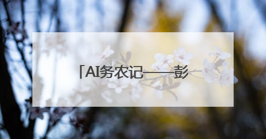 AI务农记——彭集街道甜瓜种植迎来“智慧丰收”
